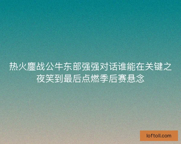 热火鏖战公牛东部强强对话谁能在关键之夜笑到最后点燃季后赛悬念